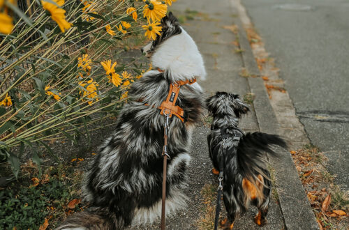 20250906 190142 e1763370315504