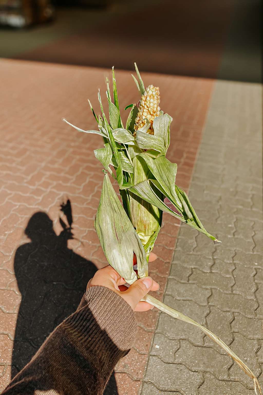 Long time no see - Selbstzweifel sind wieder laut 3 processed 5B621BCB 8874 4CCA 929B 4A586668C5F7