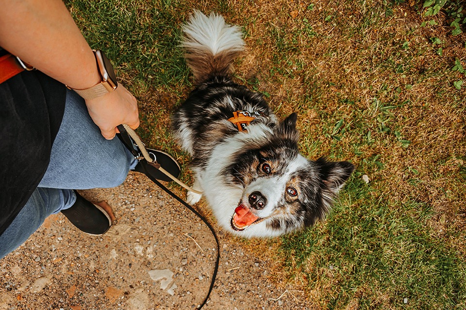 Was nach der Kastration schiefgelaufen ist 4 20240711 155630 1