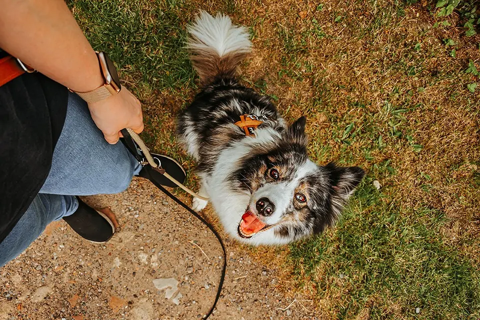 Was nach der Kastration schiefgelaufen ist 7 20240711 155630 1.jpg