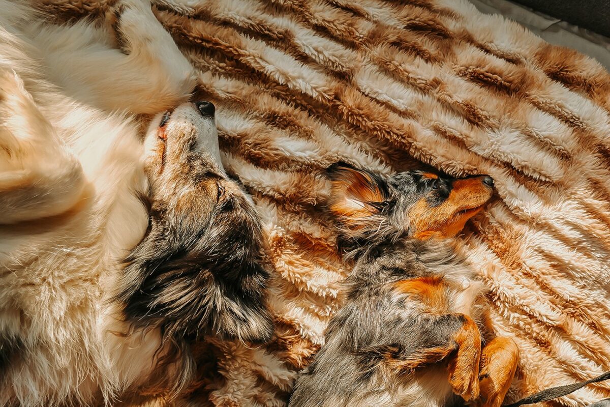 20250309 104610 e1767048304861