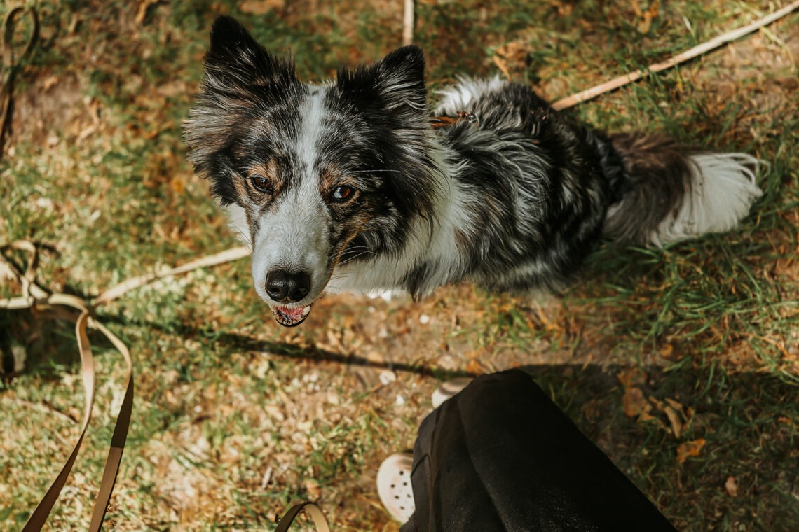 Was nach der Kastration schiefgelaufen ist – und warum mich keiner davor gewarnt hat 8 20250704 110343