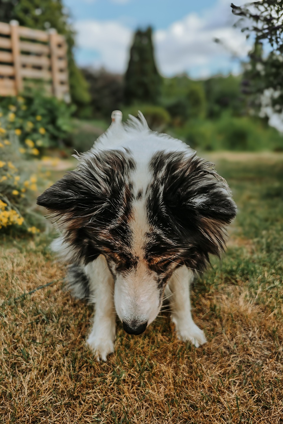 Was nach der Kastration schiefgelaufen ist 2 20250710 164255