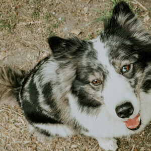 20230710 001812 e1764615883708