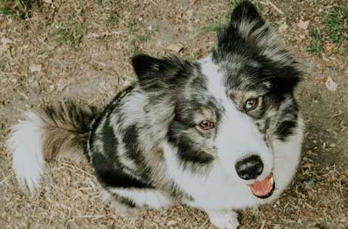 20230710 001812 e1764615883708