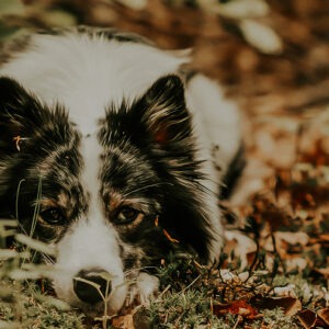 IMG 6252 2 e1765399816982