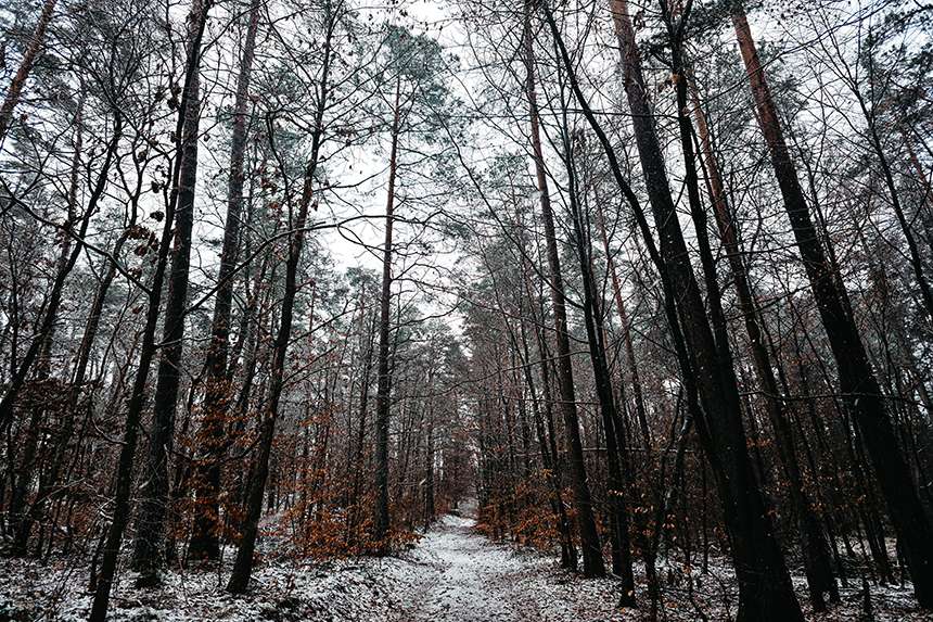 Vier Kilometer & ein Puls wie nach einem Marathon 10 20260102 10