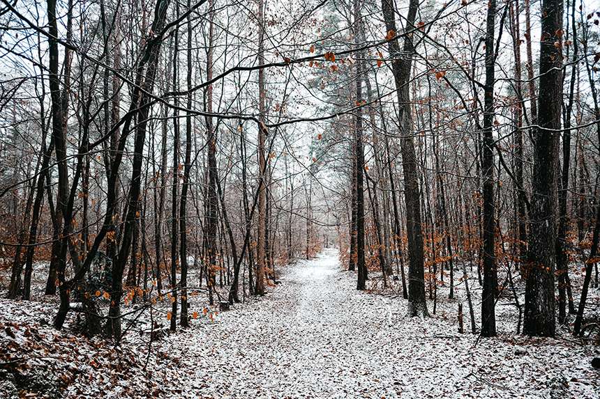 Vier Kilometer & ein Puls wie nach einem Marathon 5 20260102 12
