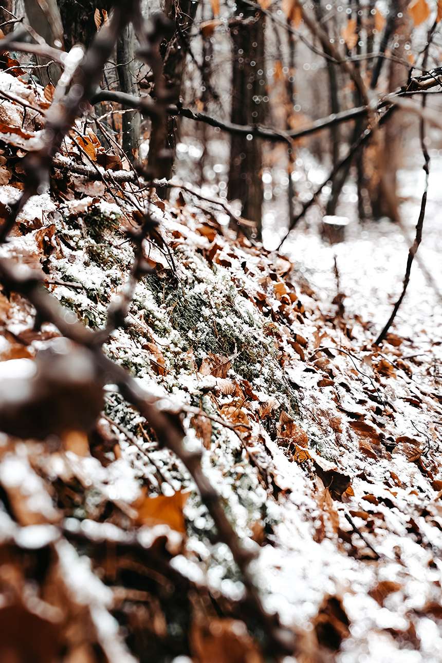 Vier Kilometer & ein Puls wie nach einem Marathon 8 20260102 14