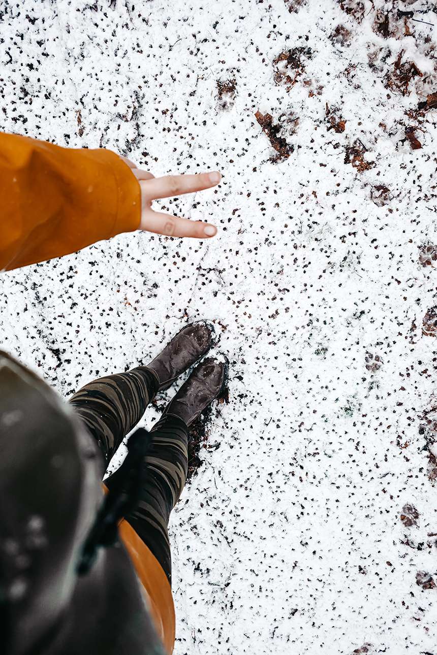 Vier Kilometer & ein Puls wie nach einem Marathon 9 20260102 16