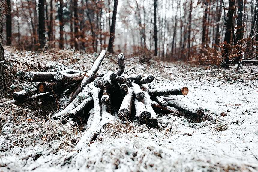 Vier Kilometer & ein Puls wie nach einem Marathon 11 20260102 18