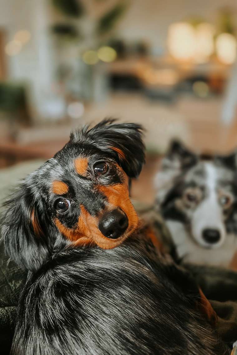 Februar 2026 – Frostchaos und eine Prise Wahnsinn 14 20260215 164001