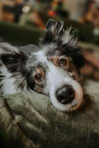 Februar 2026 – Frostchaos und eine Prise Wahnsinn 1 20260215 164917