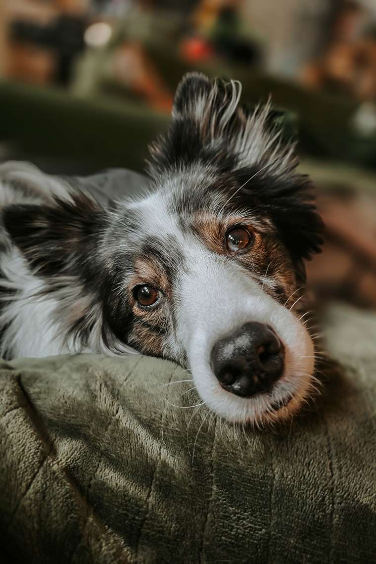 Februar 2026 – Frostchaos und eine Prise Wahnsinn