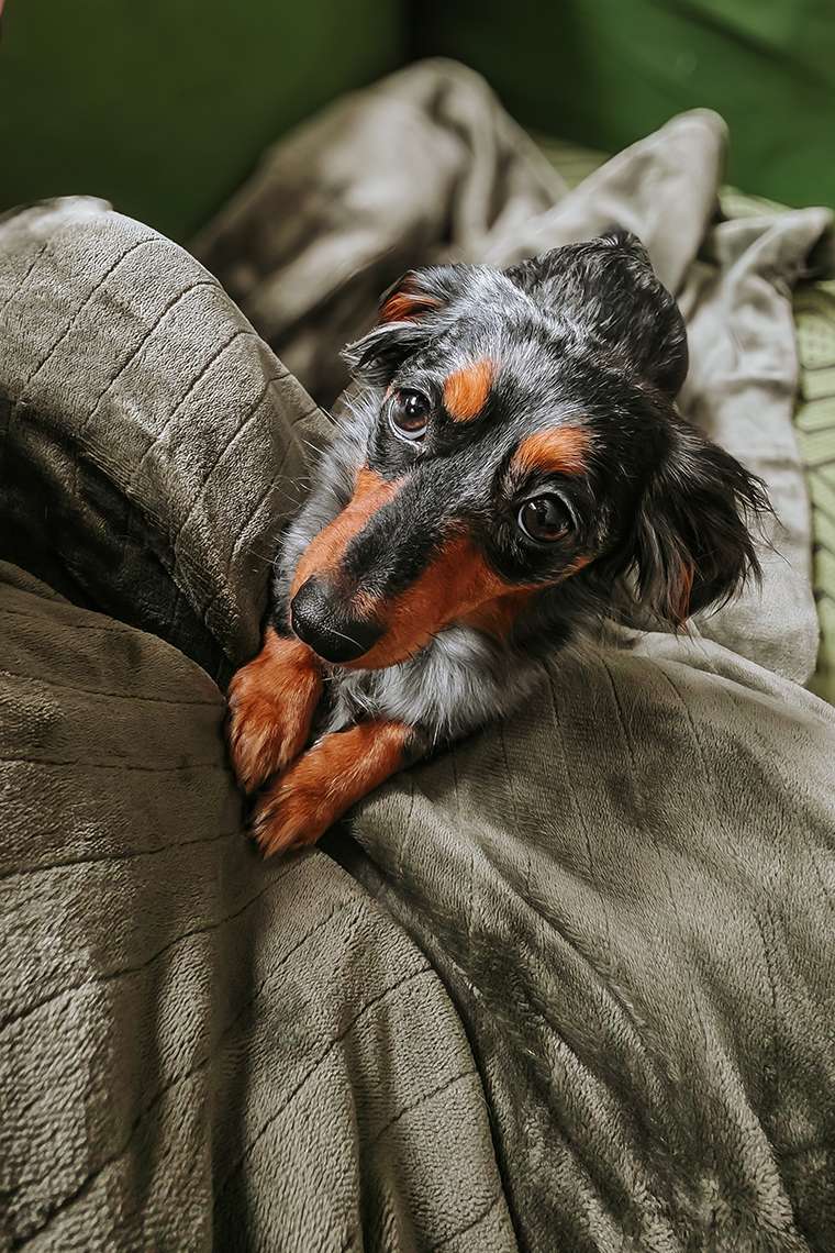 Februar 2026 – Frostchaos und eine Prise Wahnsinn 11 20260218 134353