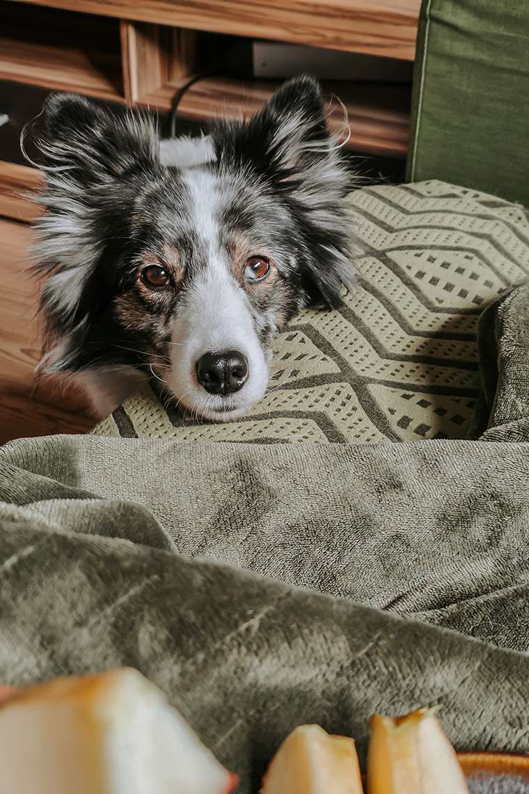 Februar 2026 – Frostchaos und eine Prise Wahnsinn 7 20260221 154615