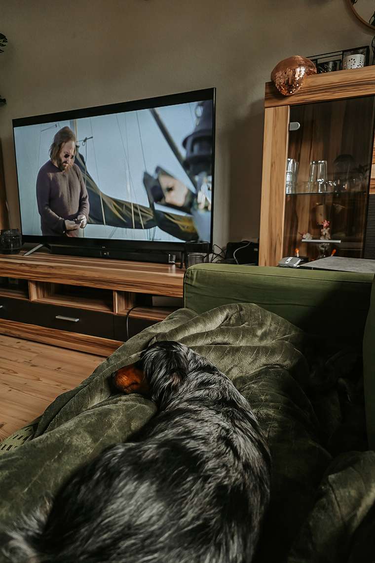 Februar 2026 – Frostchaos und eine Prise Wahnsinn 10 20260222 103137