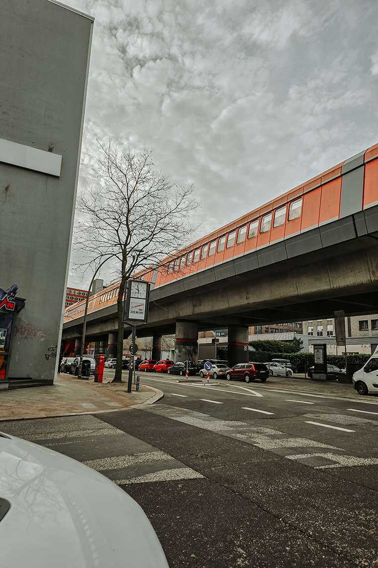 Februar 2026 – Frostchaos und eine Prise Wahnsinn 9 20260226 095853