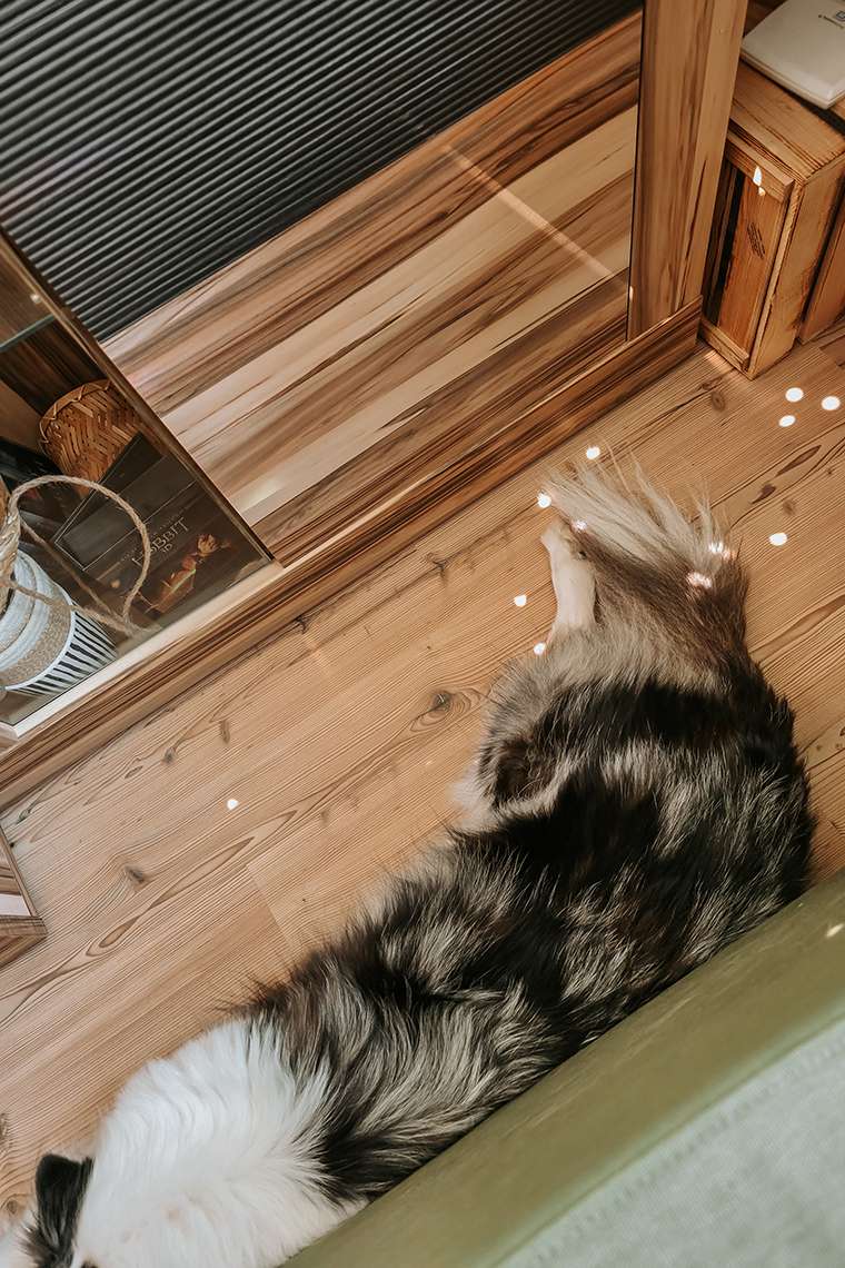 Februar 2026 – Frostchaos und eine Prise Wahnsinn 8 20260226 145751