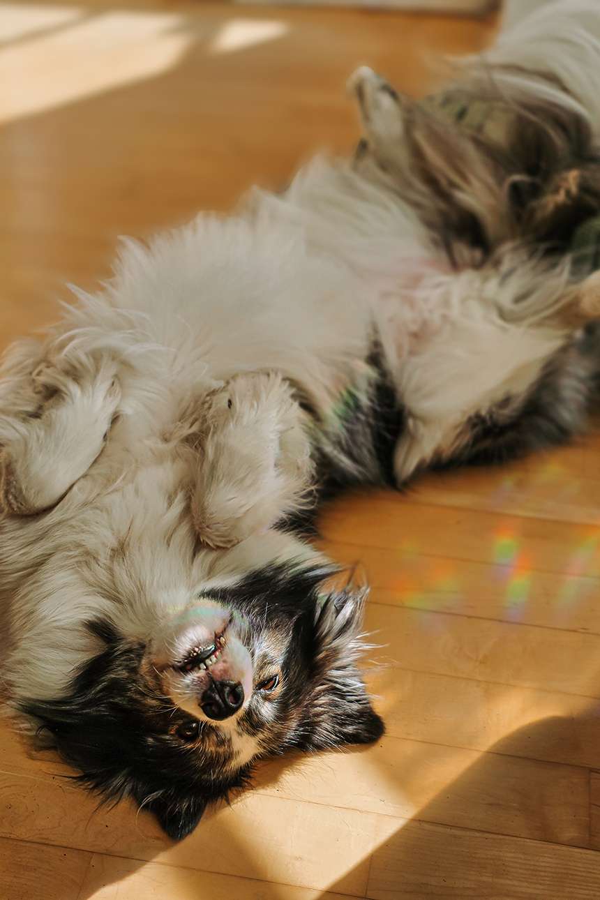 März 2026 – Stabil instabil durch den Monat 11 2026032