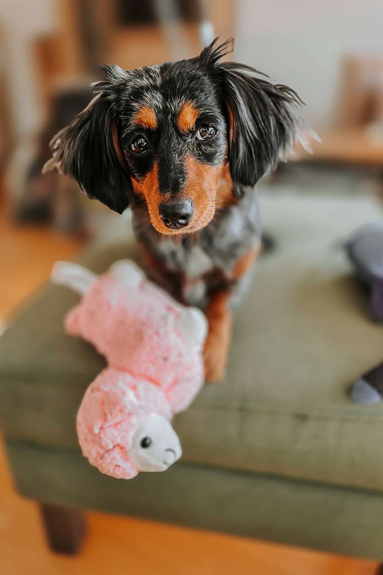 März 2026 – Stabil instabil durch den Monat 13 20260320 2