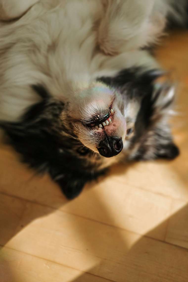 März 2026 – Stabil instabil durch den Monat 10 20260322 1