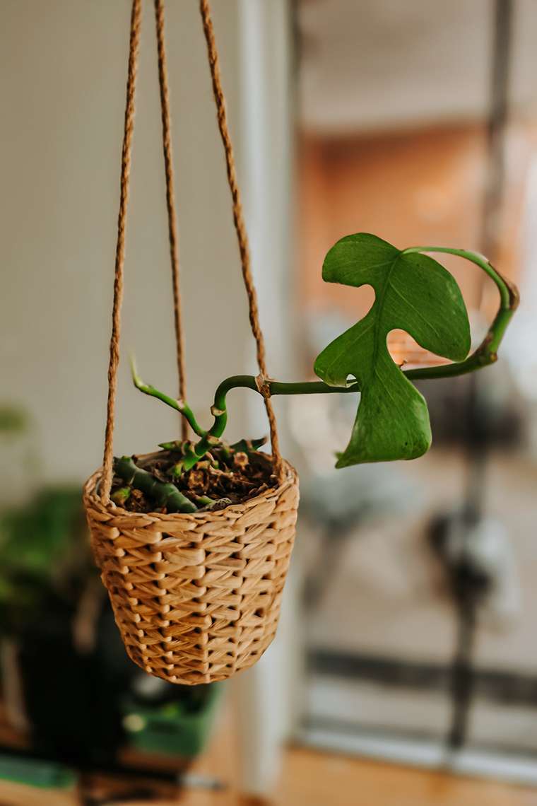 März 2026 – Stabil instabil durch den Monat 7 20260323 2