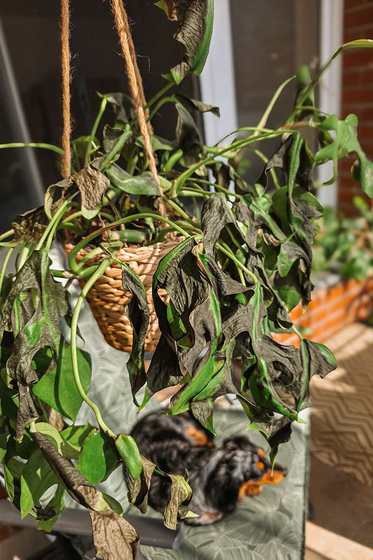 März 2026 – Stabil instabil durch den Monat 5 20260323