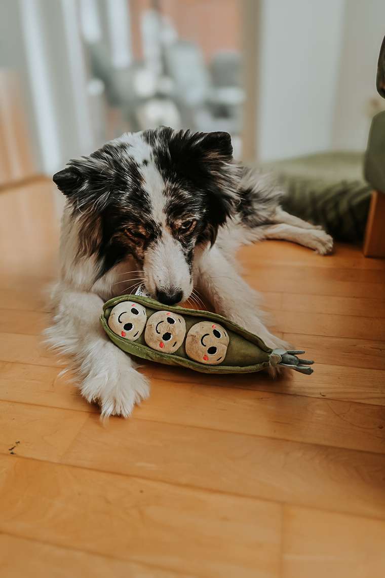 März 2026 – Stabil instabil durch den Monat 15 20260324 4