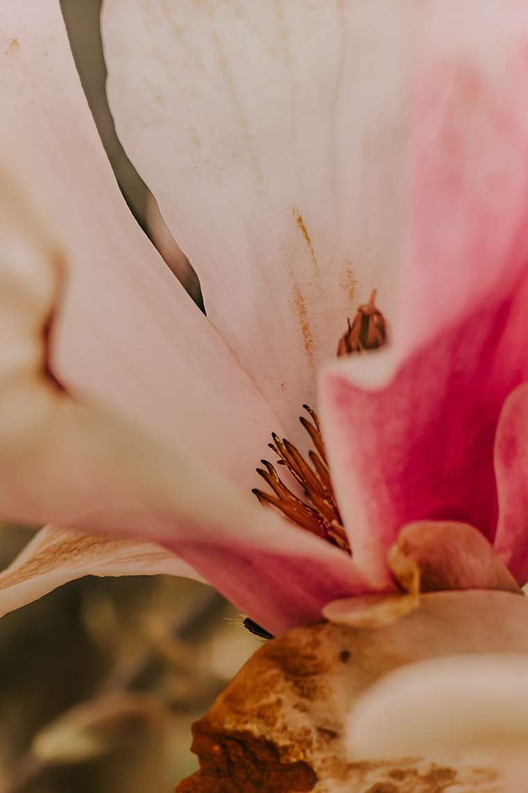 Offiziell Frühling – und plötzlich macht alles wieder Sinn 10 20260415 15