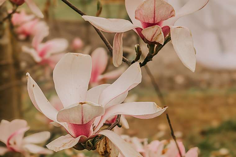 Offiziell Frühling – und plötzlich macht alles wieder Sinn 12 20260415 16