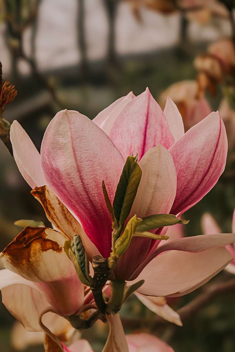 Offiziell Frühling – und plötzlich macht alles wieder Sinn 5 20260415 3