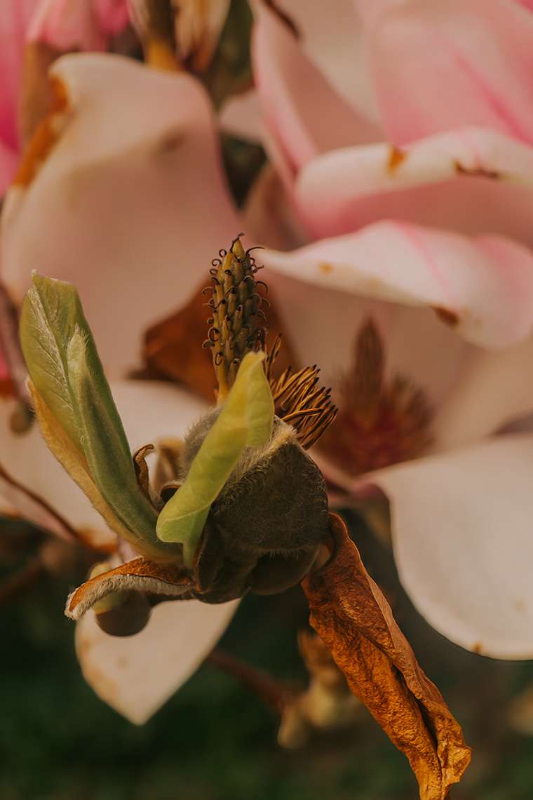 Offiziell Frühling – und plötzlich macht alles wieder Sinn 6 20260415 6