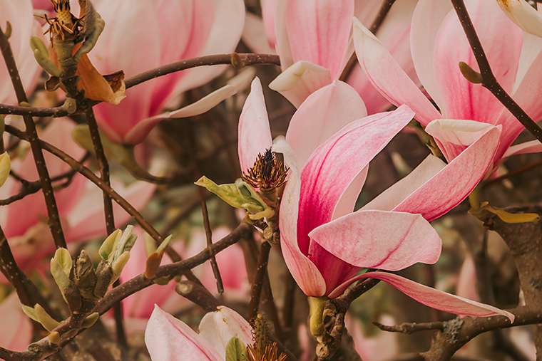 Offiziell Frühling – und plötzlich macht alles wieder Sinn 7 20260415 7