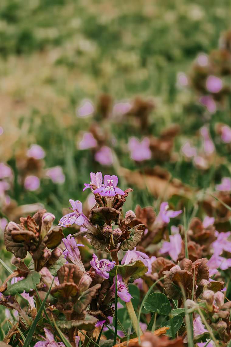 20260416 campingplatz 16