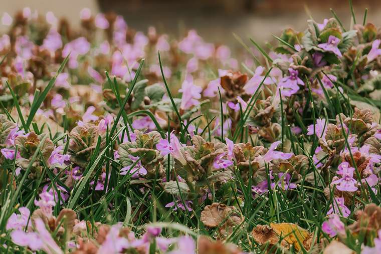 20260416 campingplatz 19