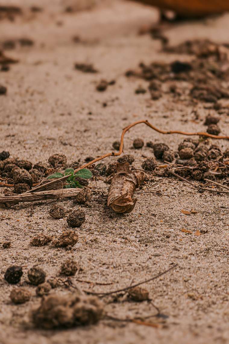 20260416 campingplatz 24