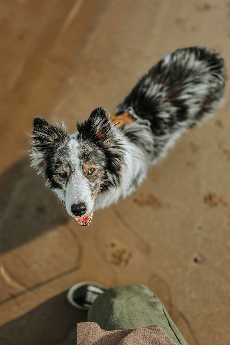 20260416 campingplatz 26