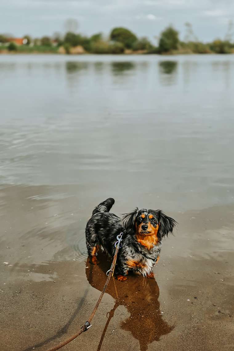 20260416 campingplatz 27