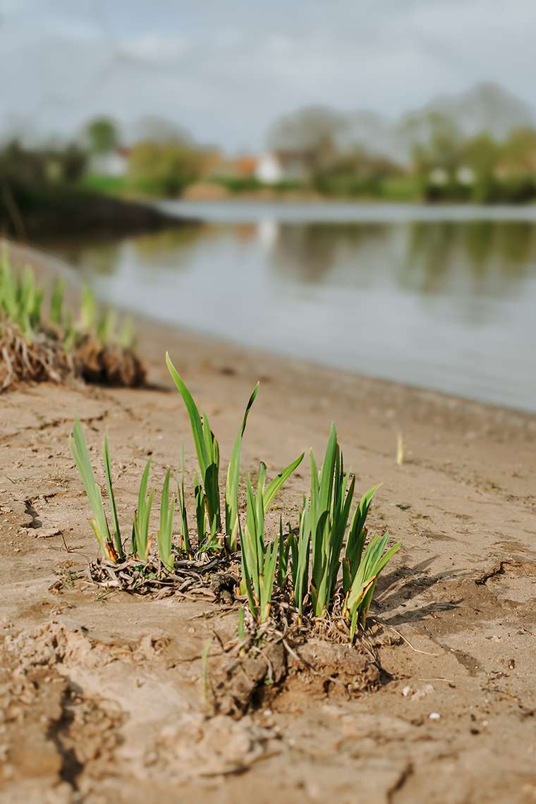 20260416 campingplatz 28