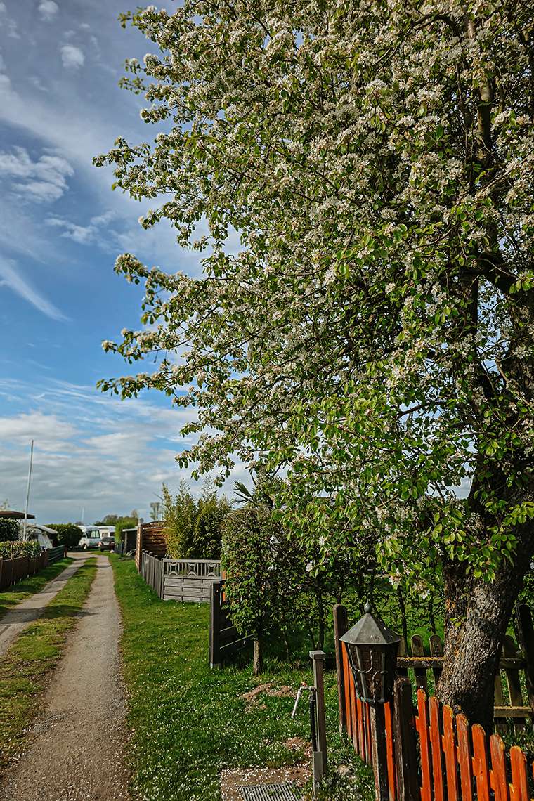 20260416 campingplatz 30