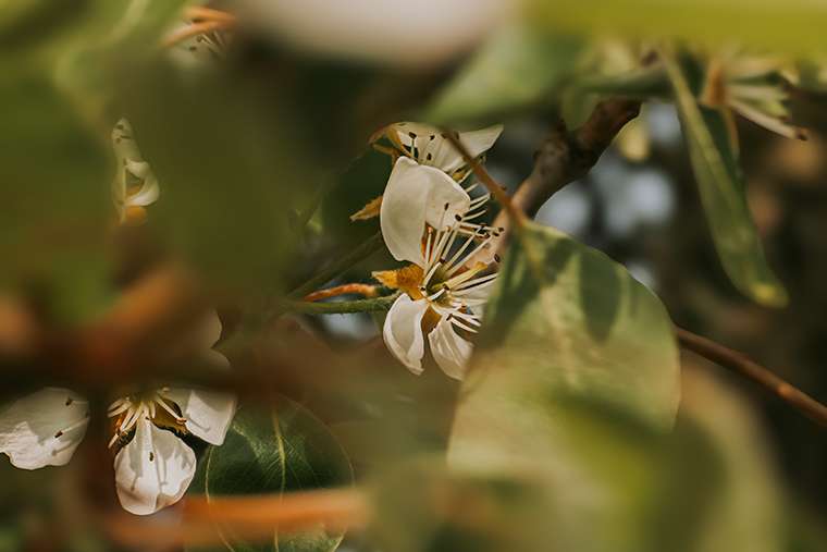 20260416 campingplatz 34