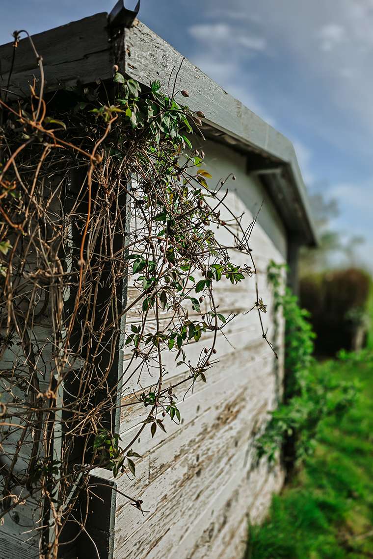 20260416 campingplatz 38