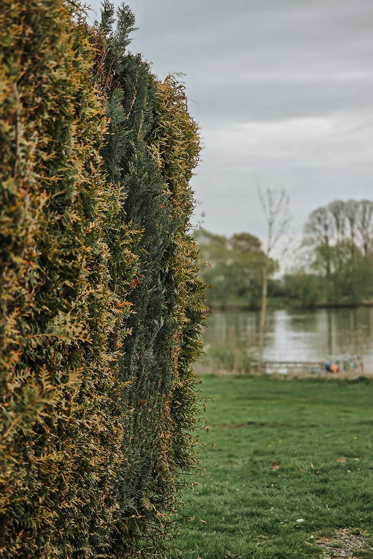 20260416 campingplatz 9