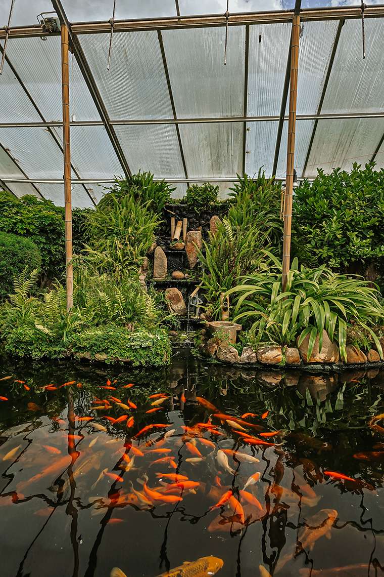 20260507 schmetterlingsgarten 18