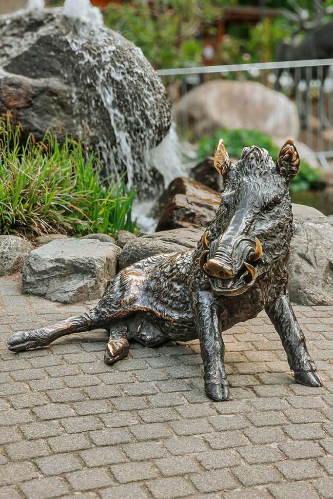 20260515 wildpark schwarze berge 42