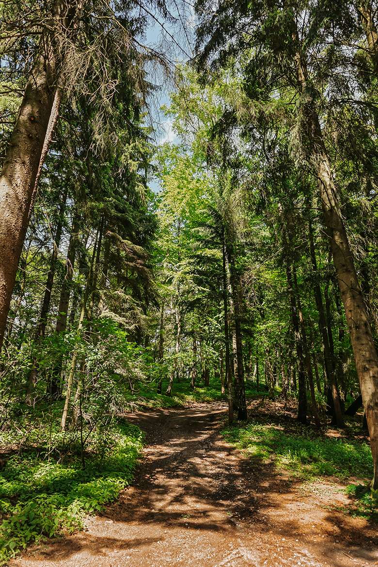 20260515 wildpark schwarze berge 45