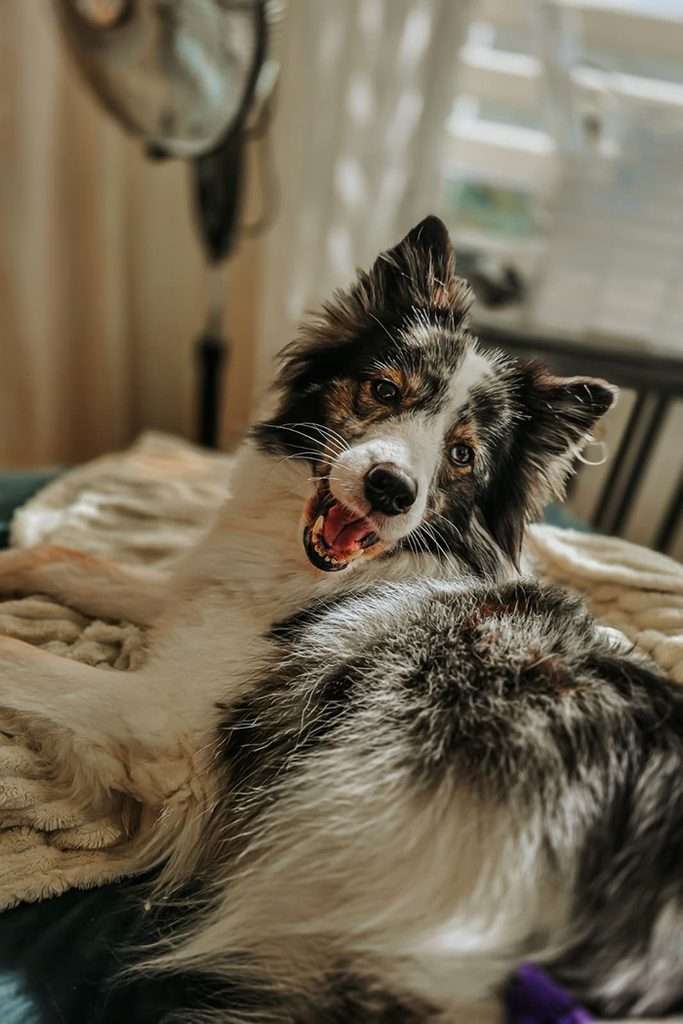 happy bounty 1