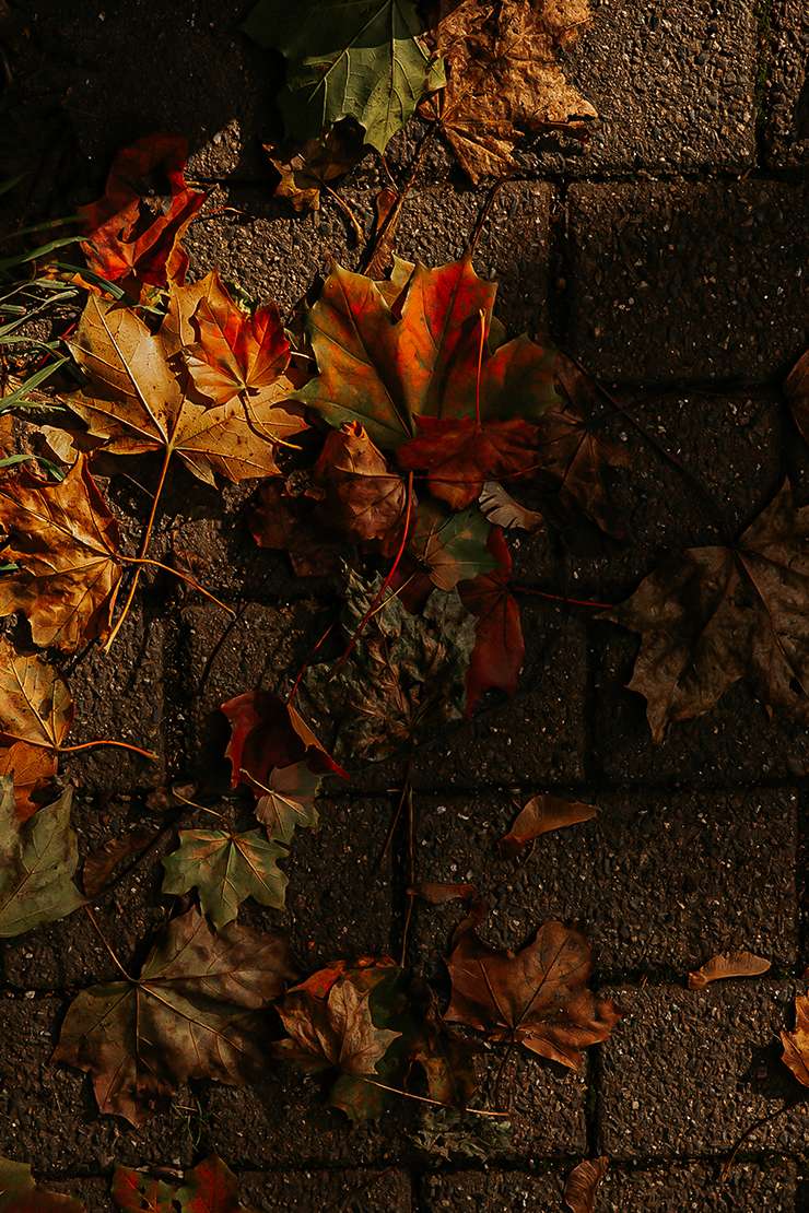 Offiziell Herbst – und die Leichtigkeit ist erstmal weg